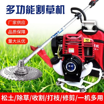 背負(fù)式割草機草坪剪草二沖四沖小型農(nóng)用除草機大功率草坪機