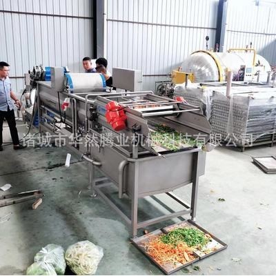 現(xiàn)貨熱銷(xiāo)洗菜機(jī) 商用渦流清洗機(jī) 蔬菜水果清洗機(jī) 支持定制 氣泡