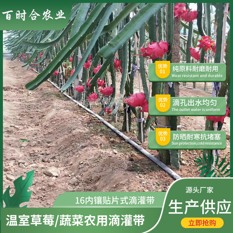 內(nèi)鑲貼片式滴灌帶規(guī)格山東百時合農(nóng)業(yè)科技有限公司