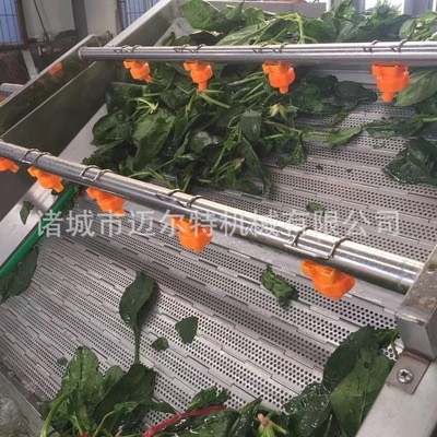 貴州毛尖茶葉清洗機 茶葉漂燙機烘干加工線 荷葉加工成套設備