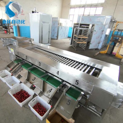 番茄滾杠分級機(jī) 滾杠式芋頭選果機(jī) 土豆重量分選機(jī)價格 廠家供應(yīng)