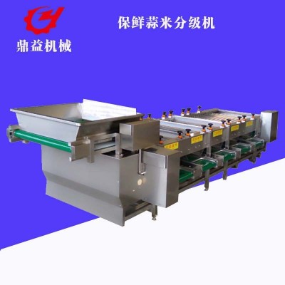 全自動大蒜加工流水線 蒜瓣分選機(jī) 干蒜米加工設(shè)備廠家供應(yīng)