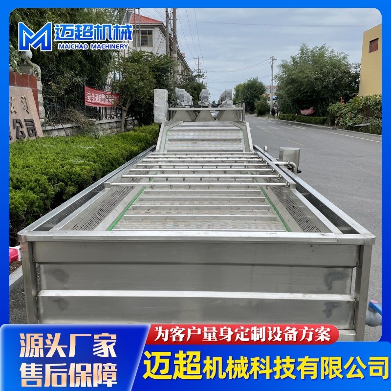 全自動(dòng)噴淋式果蔬清洗機(jī) 葉類(lèi)蔬菜高壓氣泡清洗機(jī) 清洗流水設(shè)備