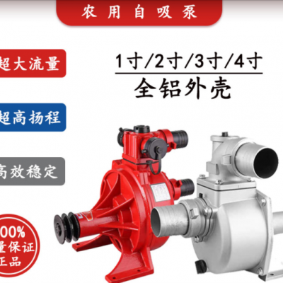 浩沺廠家直銷2寸高壓自吸滴灌泵高揚程抽水機農(nóng)田灌溉抽海水拖泵