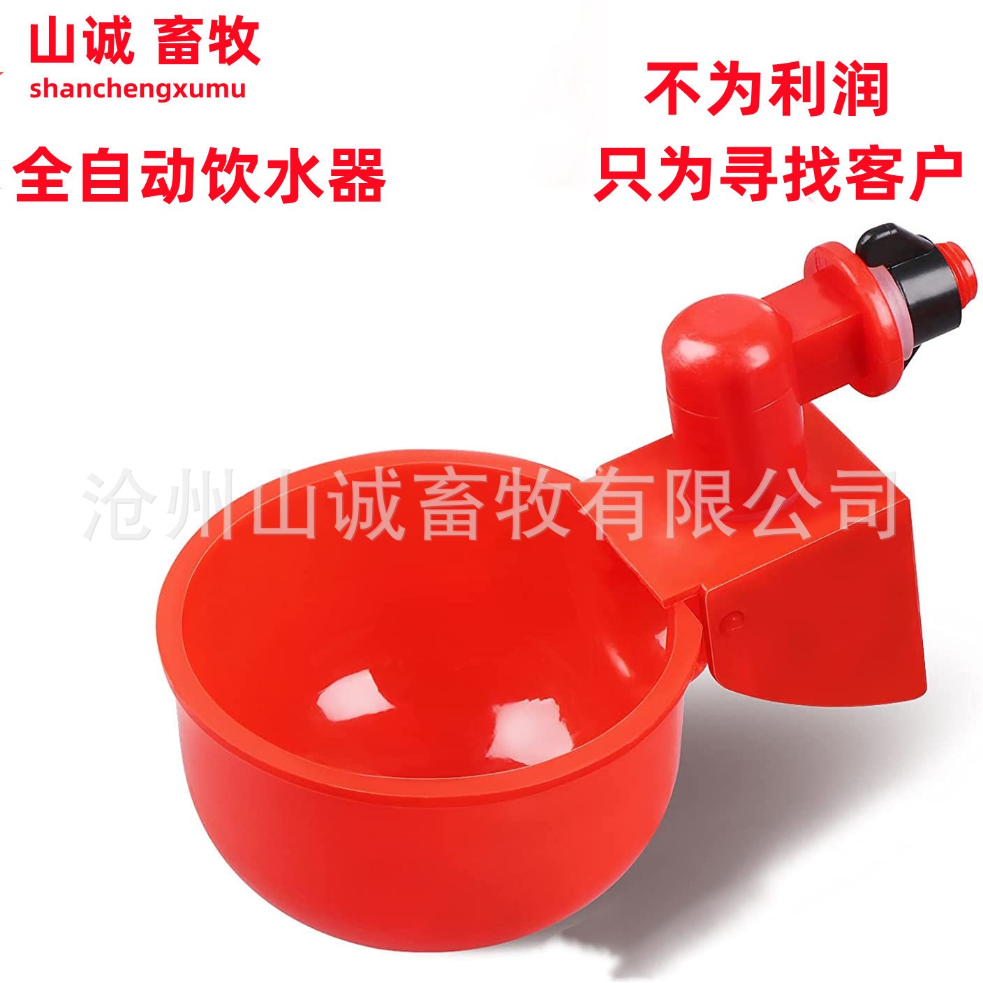 新型雞鴨鵝自動飲水碗飲水器喂鴿子水碗鳥飲水器鵪鶉家禽養殖設備