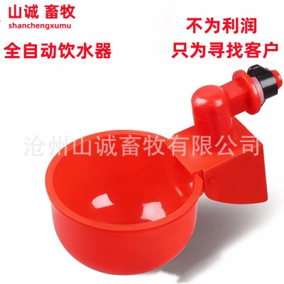 新型雞鴨鵝自動飲水碗飲水器喂鴿子水碗鳥飲水器鵪鶉家禽養(yǎng)殖設(shè)備