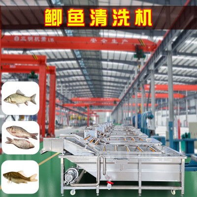鯽魚清洗加工流水線 全自動鯽魚氣泡清洗機 海產(chǎn)品噴淋清洗設(shè)備