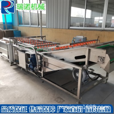 廠家直供不銹鋼果蔬清洗機(jī) 氣泡沖浪噴淋清洗機(jī) 廚房凈菜清洗線