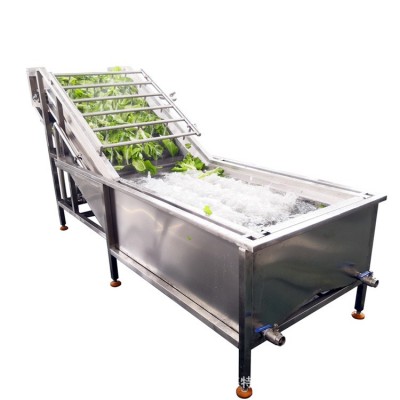 工廠用藍莓氣泡清洗機 樹莓清洗機 果蔬氣泡清洗機處理設(shè)備