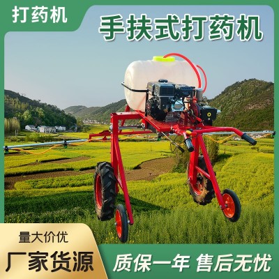 小型農(nóng)用打藥機 手扶式土豆蔬菜大棚噴藥機 汽油柴油動力噴桿噴霧機