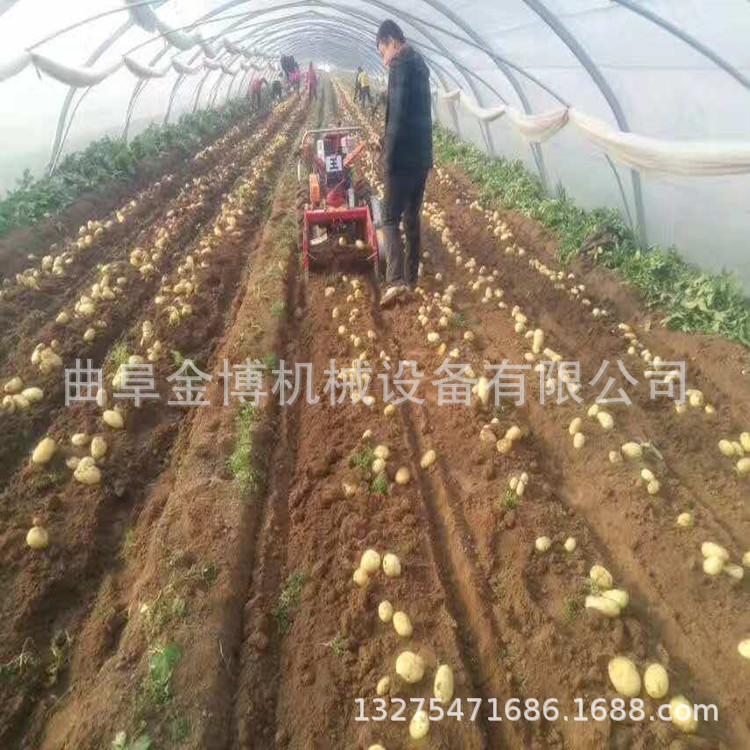 土豆收獲機