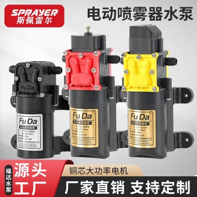 福達(dá)直銷噴霧器水泵 微型高壓大流量純銅芯電泵 電動噴霧器隔膜泵