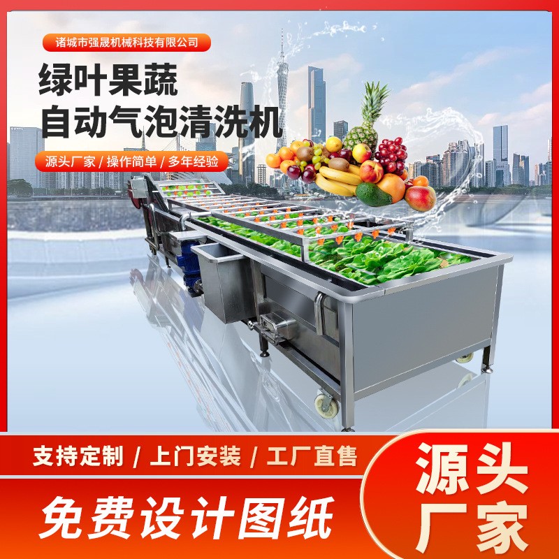 多功能全自動果蔬蔬菜清洗機氣泡式噴淋豆角清洗機洗菜機設(shè)備廠家