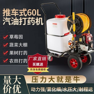 汽油打藥機手推式電動打藥機消毒養殖場專用農用高壓四沖程噴霧器