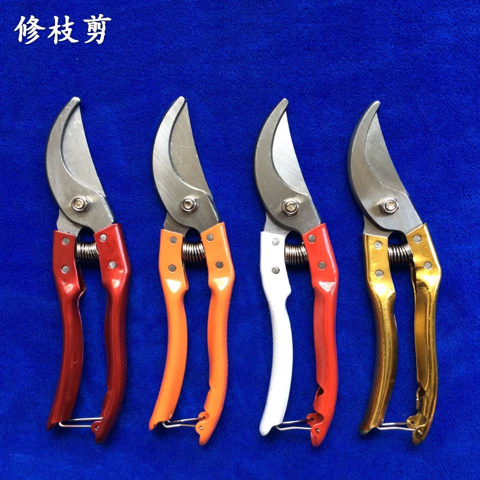 墨牛修枝剪果枝剪樹(shù)剪果樹(shù)剪果剪花剪園藝剪刀花木剪粗枝剪高枝剪