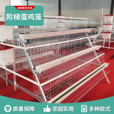 階梯蛋雞籠養(yǎng)殖場(chǎng)專(zhuān)用籠雞籠子階梯式蛋雞籠養(yǎng)雞設(shè)備養(yǎng)殖雞籠全套