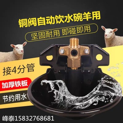 羊喝水自動(dòng)飲水器豬牛羊飲水盆喝水槽鐵羊碗羊用自動(dòng)飲水碗銅閥