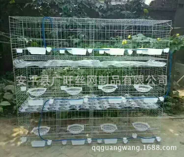 楦界_鍓湰