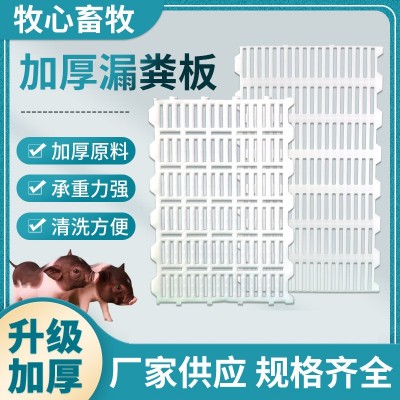豬用保育床地板廠家加工養(yǎng)豬設備仔豬母豬產(chǎn)床加厚塑料豬 用漏糞板