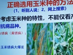 農業創業知識